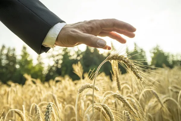 Ви зараз переглядаєте Уряд запускає державну підтримку страхування агропродукції