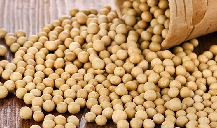 Ви зараз переглядаєте Китай збільшує партії закупівель сої зі США