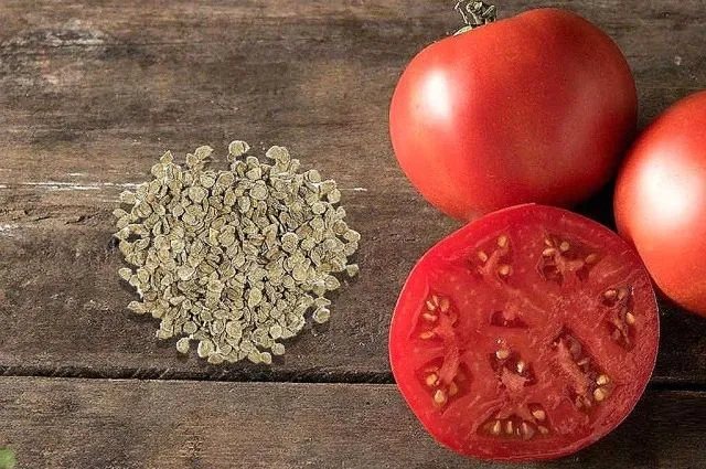 Ви зараз переглядаєте Стало відомо, коли сіяти насіння помідор взимку