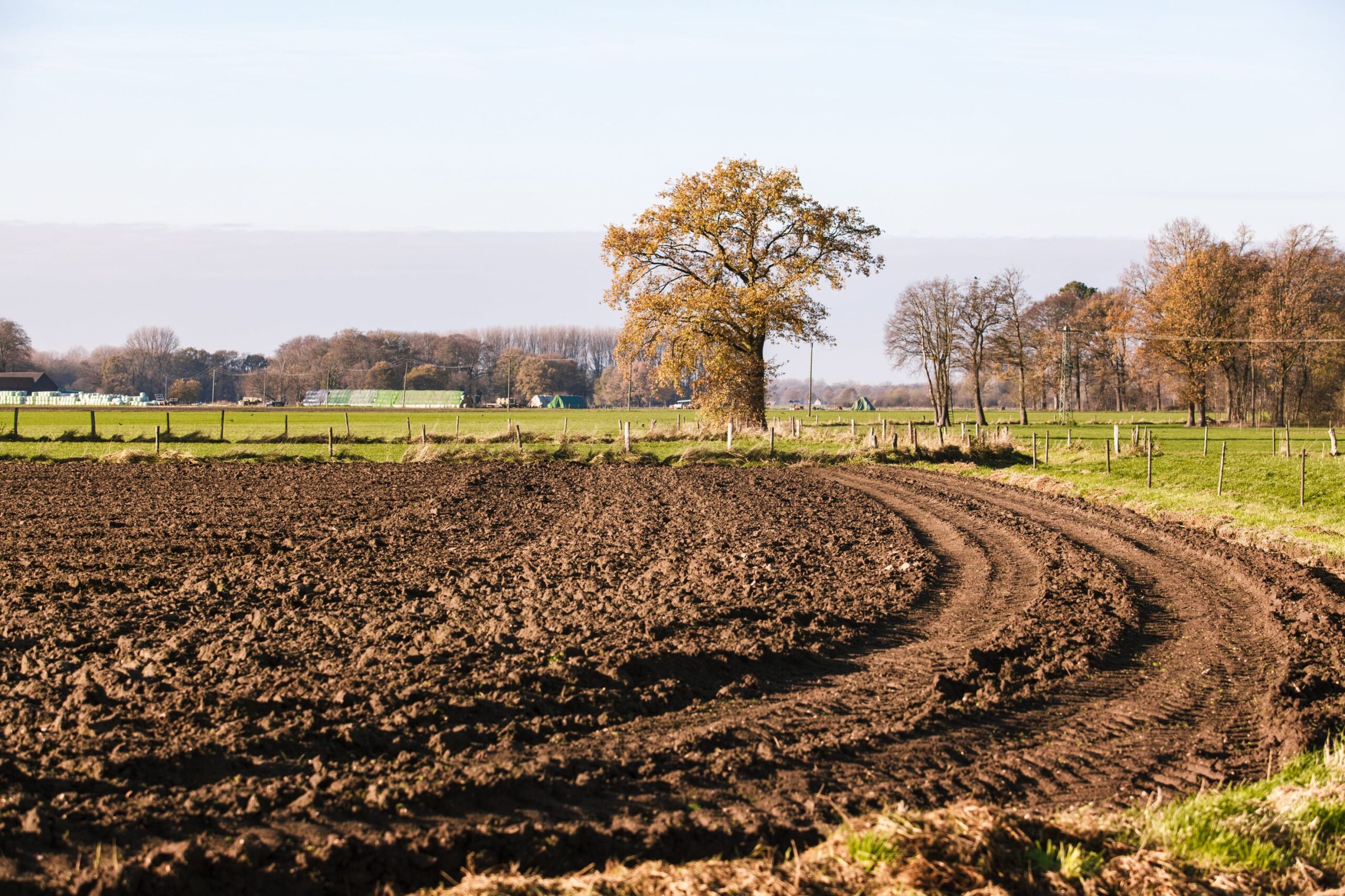 Ви зараз переглядаєте Арешт земельної ділянки: коли можливий і як оскаржити