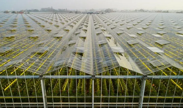 Ви зараз переглядаєте На Вінниччині завдяки держгрантам збудували теплиці на 13,3 га