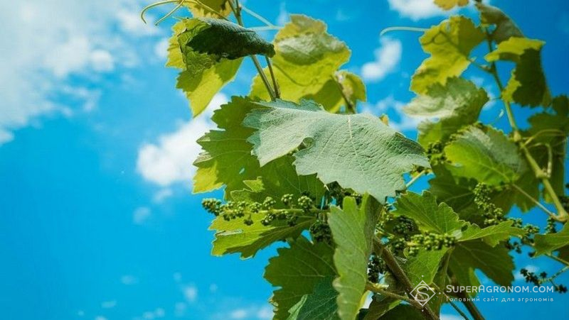 Ви зараз переглядаєте Дефіцит води в світі не є тимчасовою проблемою, це справжнє водне банкрутство — ООН