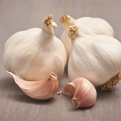 Ви зараз переглядаєте Часник може подовжувати життя та захищати від хвороб старості