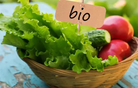 Ви зараз переглядаєте Європа купує 93% українських органічних продуктів