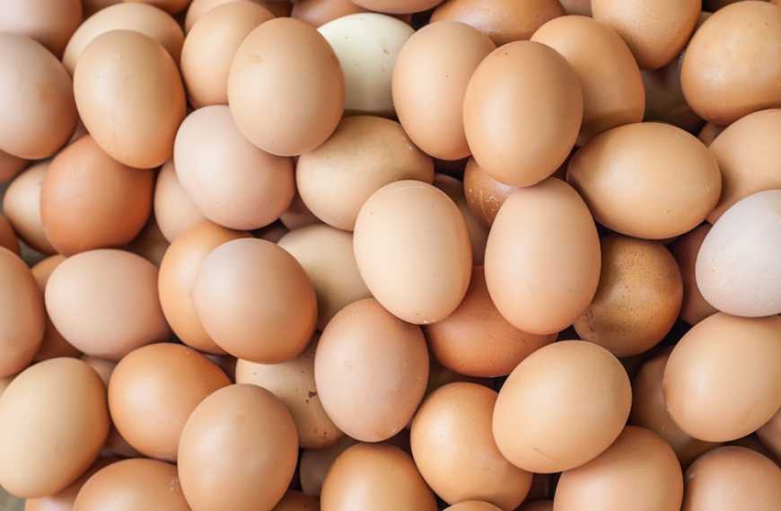 Ви зараз переглядаєте У 2025 році Україна експортувала понад два мільярди яєць