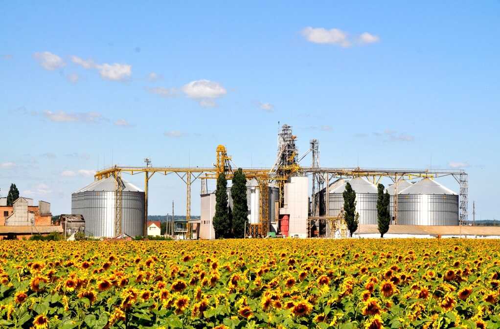 Ви зараз переглядаєте Елеватори «Західного Бугу» торік прийняли понад 320 тис. тонн зерна