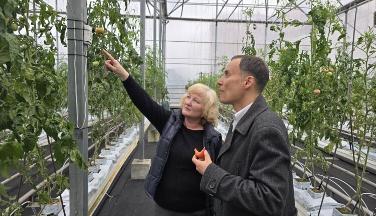 Ви зараз переглядаєте На Поділлі тестуватимуть робота для раннього виявлення хвороб тепличних рослин