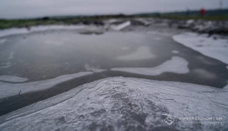 Ви зараз переглядаєте Який вид льодової кірки найбільш небезпечний для озимої пшениці — пояснив експерт