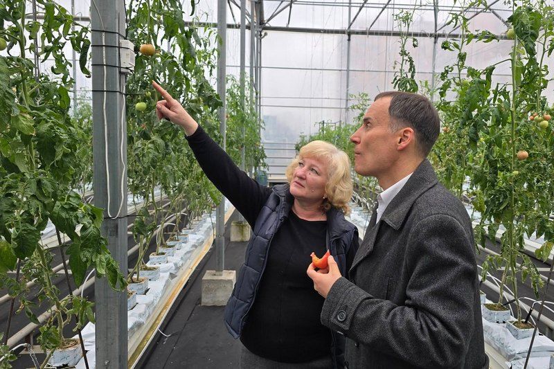 Ви зараз переглядаєте На Хмельниччині створять робота для виявлення хвороб рослин у теплицях