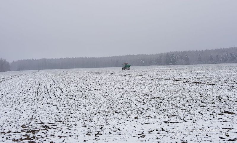 Ви зараз переглядаєте Підживлення озимої пшениці: рекомендації дав Микола Сучек