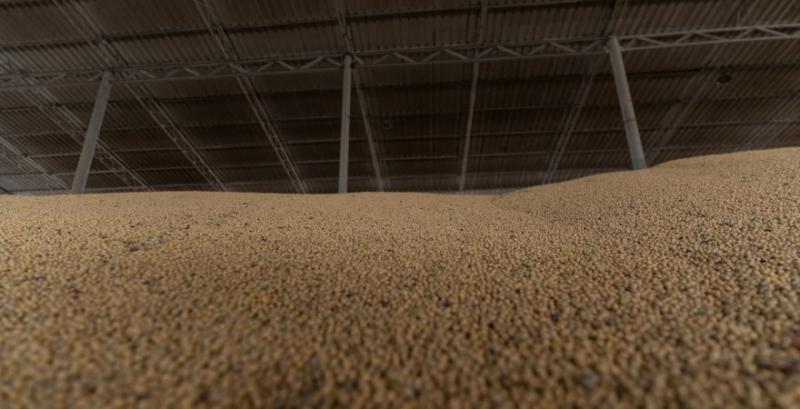 Ринок сої зберігає потенціал росту цін — аналітики