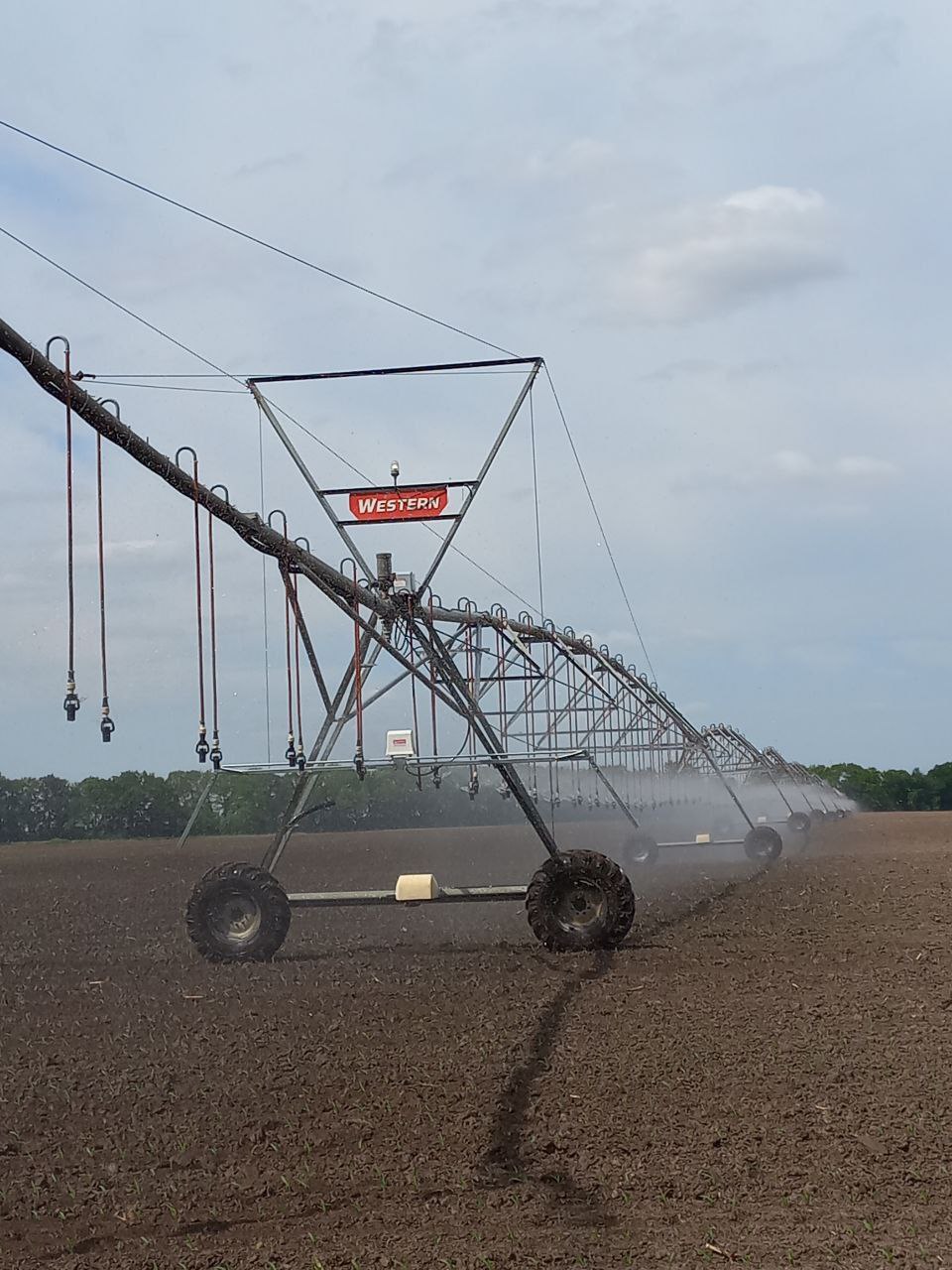 Ви зараз переглядаєте Україна та США посилюють співпрацю у сфері меліорації