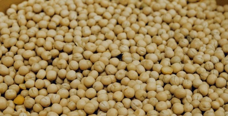 Українська соя втрачає позиції на ринку Єгипту через жорстку конкуренцію з боку США