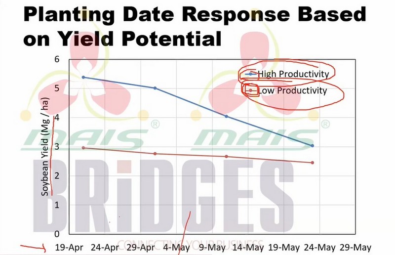 Презентація Марка Ліхта