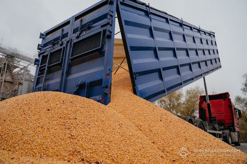 Ви зараз переглядаєте Євросоюз наближається до продовольчої самодостатності у виробництві зернових і бобових культур