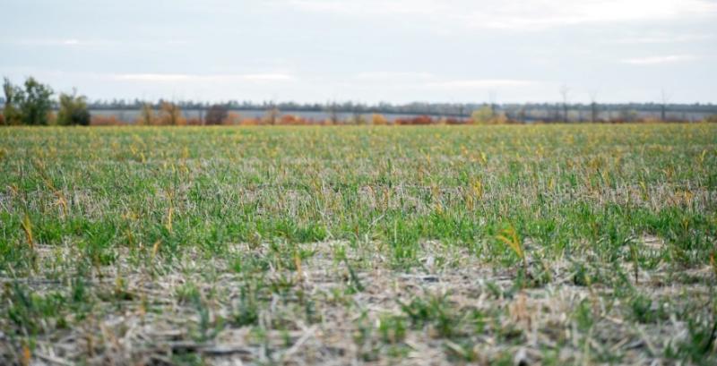Земельний банк виставив на аукціон перші лоти у 2026 році