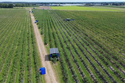 Ви зараз переглядаєте Механізація збору свіжих ягід: перспективи на найближчі 5-15 років