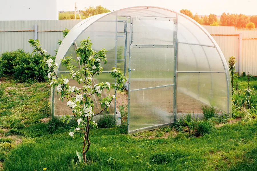 Ви зараз переглядаєте Як правильно підготувати теплицю навесні, щоб отримати щедрий урожай