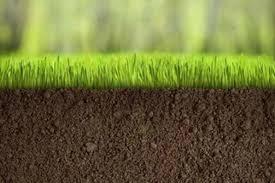 Ви зараз переглядаєте Уряд ухвалив постанову для швидшого повернення до використання земель сільськогосподарського призначення