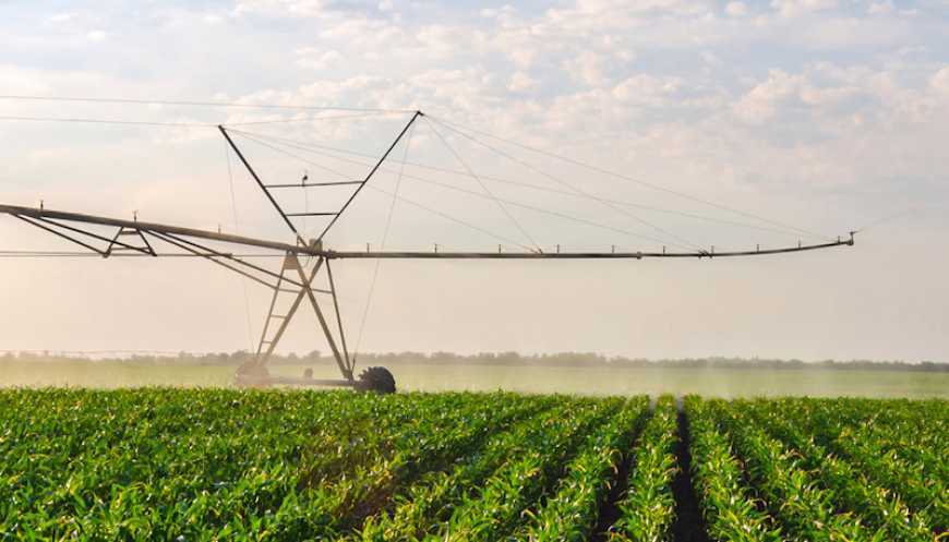 Ви зараз переглядаєте Меліоративна реформа в Україні: Рада прийняла ключовий закон