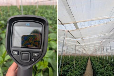 Ви зараз переглядаєте Іспанський виробник переходить на точне покриття ReduFuse IR для покращення умов вирощування