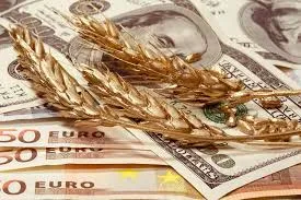 Ви зараз переглядаєте Банки блокують першу валютну виручку фермерів-експортерів: як уникнути затримки надходження коштів