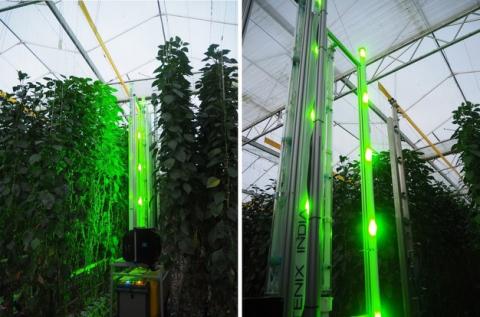 Ви зараз переглядаєте Новий роботизований візок для теплиць від Fotenix India: майбутнє агроскаутингу