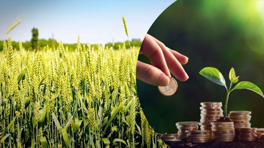 Ви зараз переглядаєте Частина українців може не платити земельний податок у 2026 р