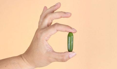 Ви зараз переглядаєте На виставці Fruit Logistica 2026 представлять найменший у світі огірок Popits