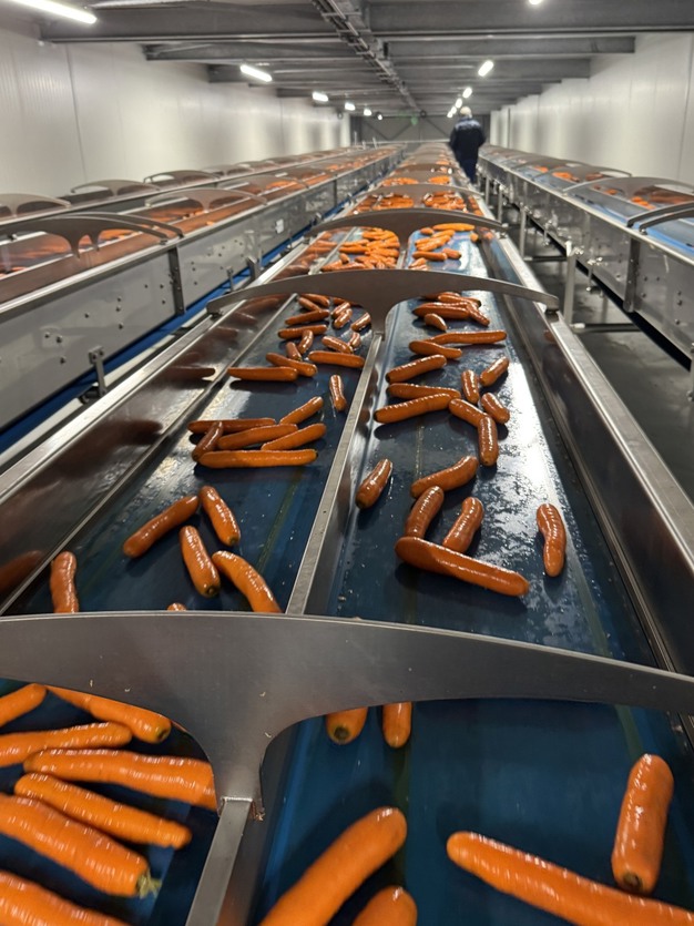 Покращена якість сортування Kimco