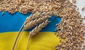 Ви зараз переглядаєте Російська пшениця витісняє український продукт з ринків MENA