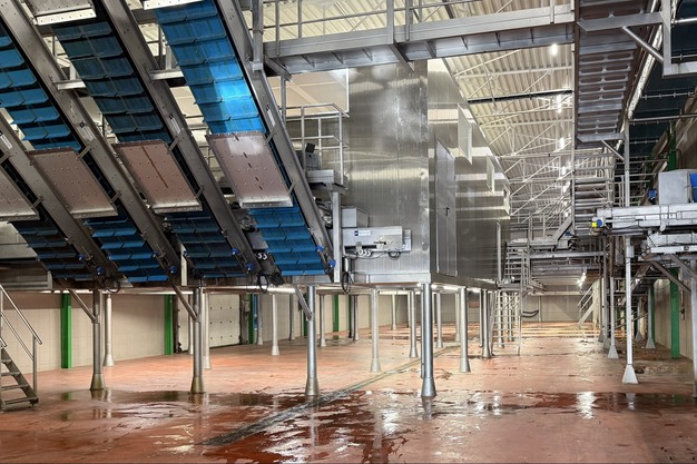 Сортувальна лінія Kimco