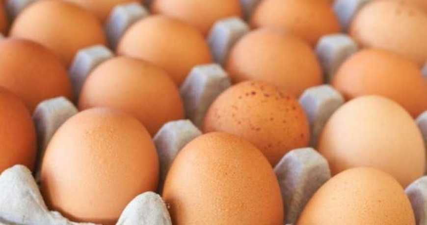 Ви зараз переглядаєте Яйця стають “на вагу золота”: як змінились ціни в Україні