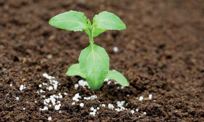 Ви зараз переглядаєте Ринок добрив: світові ціни на карбамід з початку року підскочили на 18%