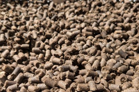 Ви зараз переглядаєте Інноваційні вовняні гранули: органічне добриво від Maslana