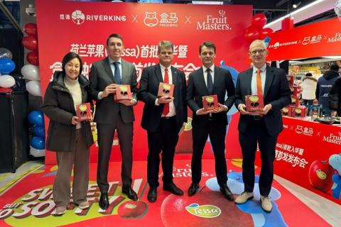 Ви зараз переглядаєте Голландські яблука Tessa офіційно доступні на китайському ринку