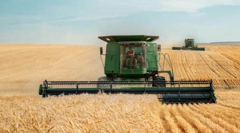 Ви зараз переглядаєте Глобальне виробництво пшениці під загрозою через тепловий стрес