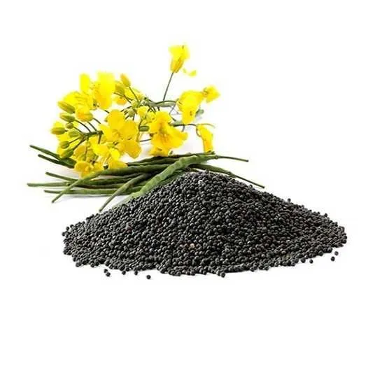 Ви зараз переглядаєте Європейські ф’ючерси на ріпак продовжили падіння