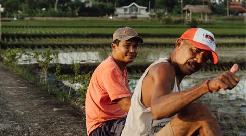 Ви зараз переглядаєте Угода між США та Індонезією: нові можливості для аграрного експорту