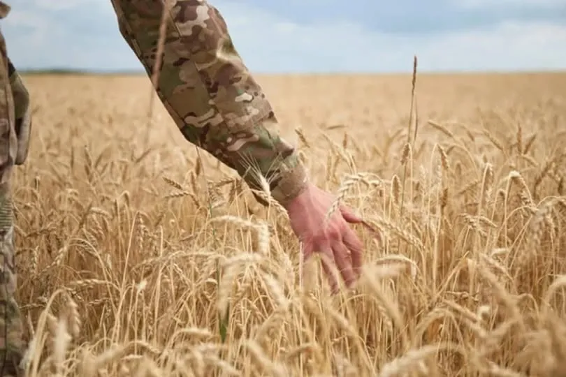 Ви зараз переглядаєте Фермери-ветерани можуть отримати компенсацію вартості основних засобів