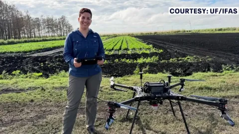 Ви зараз переглядаєте Флорида тестує дрони та AI для виявлення хвороб селери
