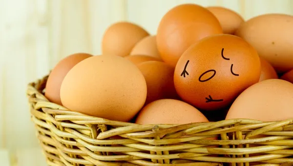 Ви зараз переглядаєте В США рекордно падають ціни на курячі яйця