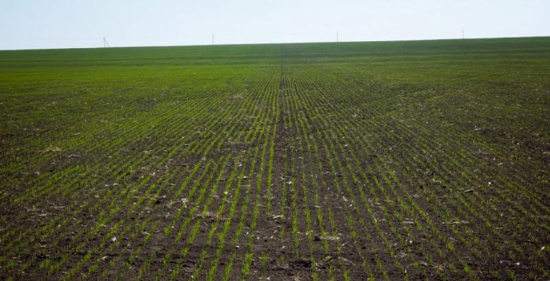 Чи можна узаконити право довічного володіння земельною ділянкою — пояснення юристів