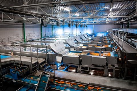 Ви зараз переглядаєте Інтеграція оптичного сортування: новий етап для Kimco