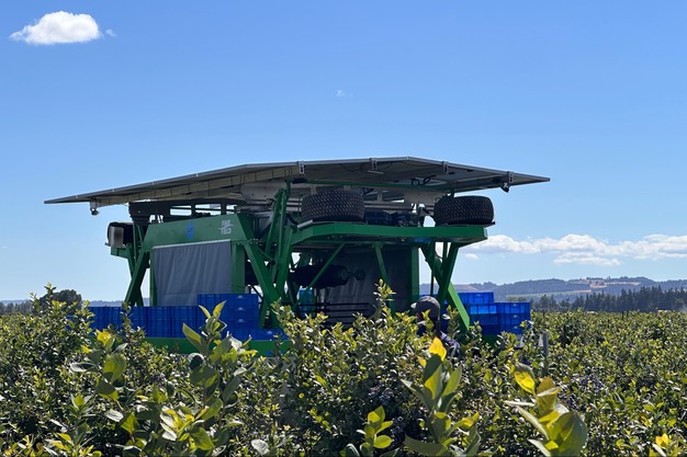 Машини FineField для збору ягід