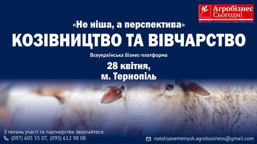 Ви зараз переглядаєте Всеукраїнська бізнес-платформа «Не ніша, а перспектива»: козівництво та вівчарство