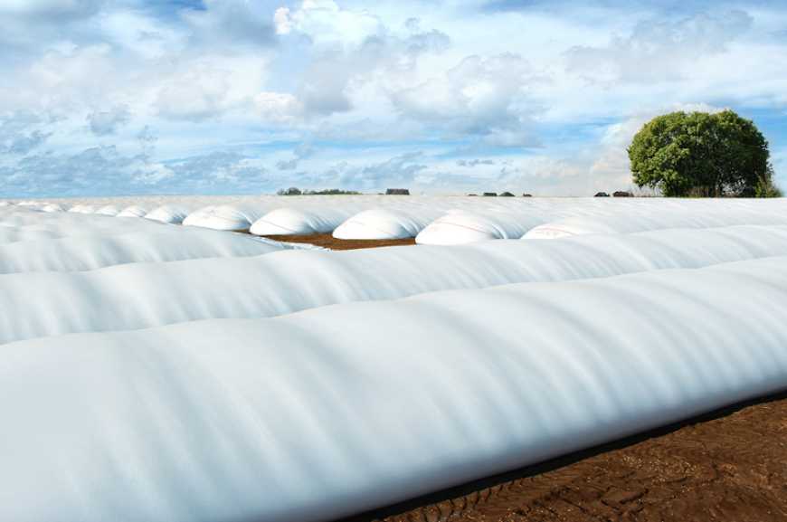 Ви зараз переглядаєте Зберігання зерна в рукавах: собівартість у середньому становить 225 грн/т