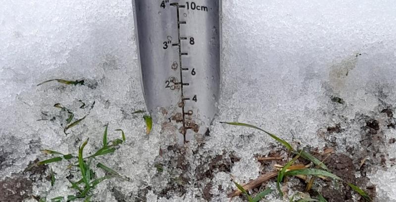 На Львівщині посіви озимих під загрозою підтоплення