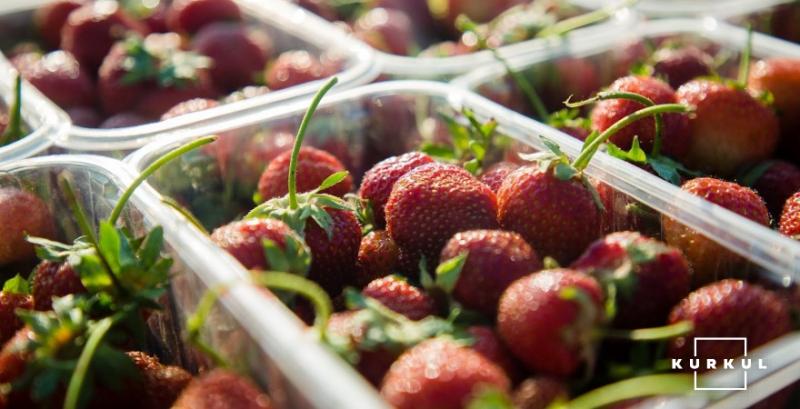 Попри високу вартість закритий ґрунт стає популярним серед ягідників — експерт