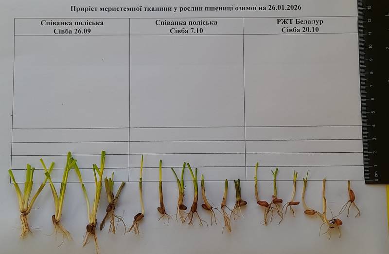 Фото: Інститут сільського господарства Карпатського регіону НААН